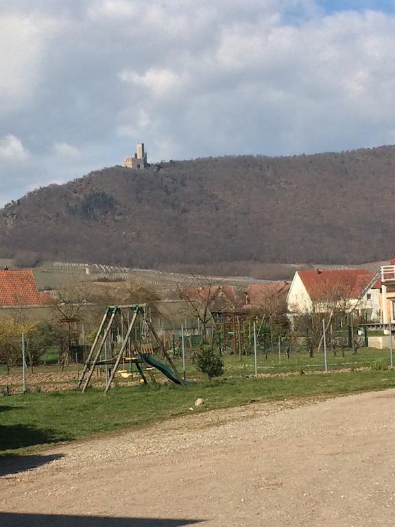 Vignobles Frey-Sohler Scherwiller Exterior foto