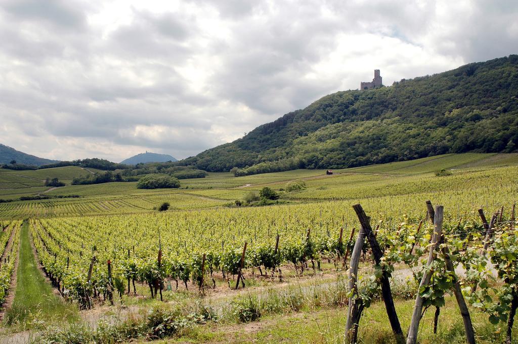 Vignobles Frey-Sohler Scherwiller Exterior foto